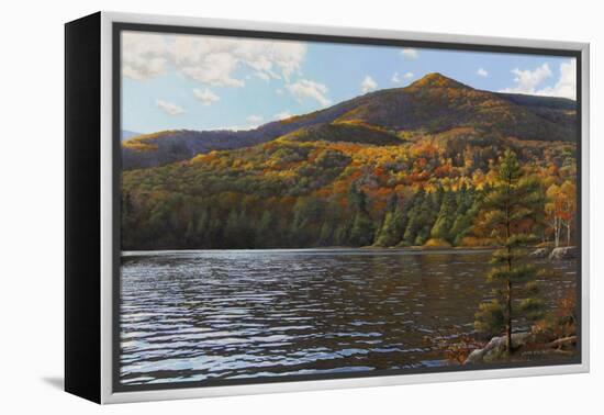 Equinox Pond II-John Zaccheo-Framed Premier Image Canvas