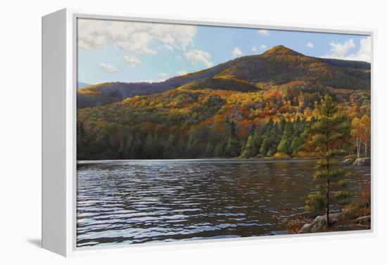 Equinox Pond II-John Zaccheo-Framed Premier Image Canvas