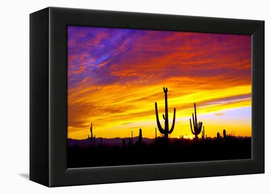 Equinox Sunset-Douglas Taylor-Framed Premier Image Canvas