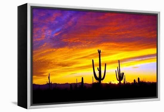 Equinox Sunset-Douglas Taylor-Framed Premier Image Canvas