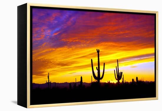 Equinox Sunset-Douglas Taylor-Framed Premier Image Canvas