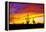 Equinox Sunset-Douglas Taylor-Framed Premier Image Canvas