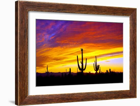 Equinox Sunset-Douglas Taylor-Framed Photographic Print