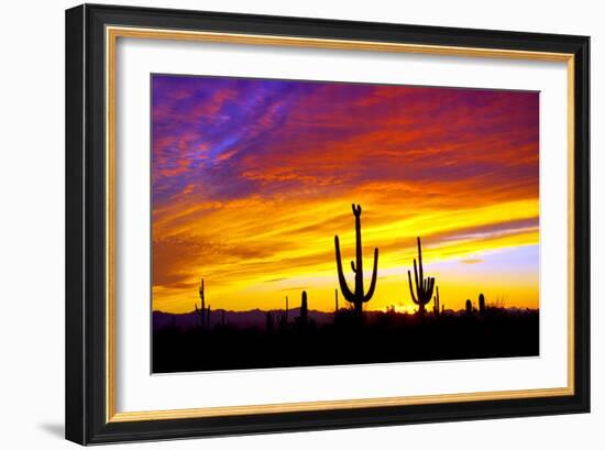 Equinox Sunset-Douglas Taylor-Framed Photographic Print
