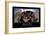 Equipo. Cita Inspiradora Y Póster Motivacional-null-Framed Photographic Print