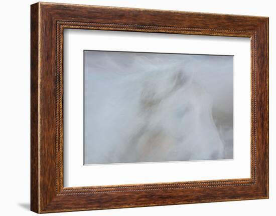 Equis I-Doug Chinnery-Framed Photographic Print