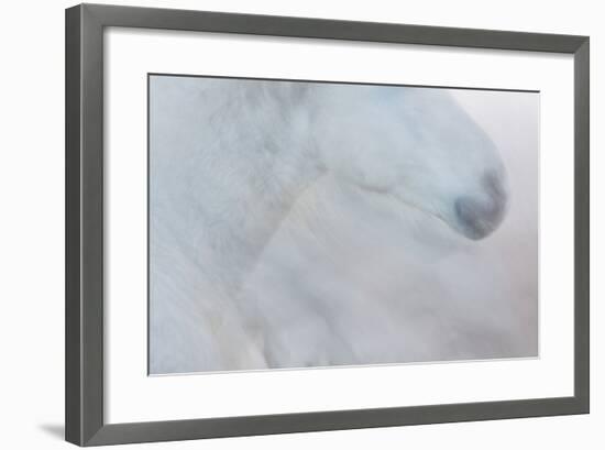 Equis II-Doug Chinnery-Framed Premium Photographic Print