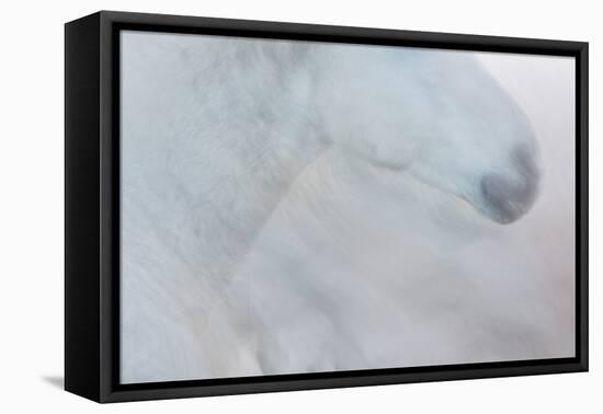 Equis II-Doug Chinnery-Framed Premier Image Canvas