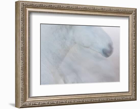 Equis II-Doug Chinnery-Framed Photographic Print