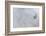 Equis II-Doug Chinnery-Framed Photographic Print