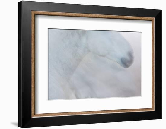 Equis II-Doug Chinnery-Framed Photographic Print