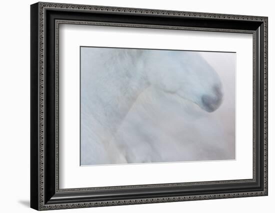 Equis II-Doug Chinnery-Framed Photographic Print