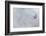 Equis II-Doug Chinnery-Framed Photographic Print