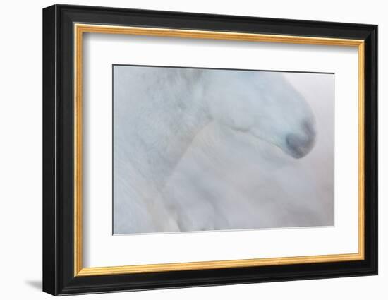 Equis II-Doug Chinnery-Framed Photographic Print