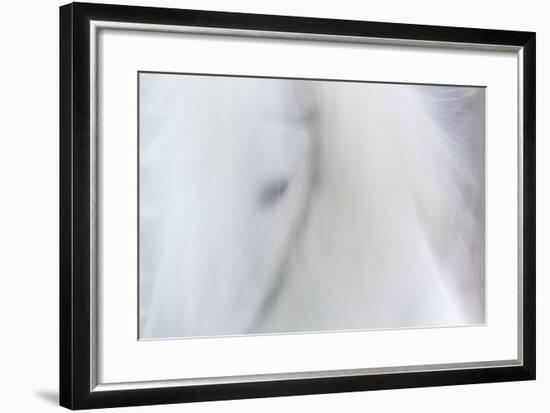 Equis III-Doug Chinnery-Framed Premium Photographic Print