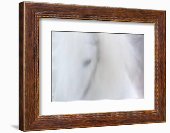 Equis III-Doug Chinnery-Framed Premium Photographic Print