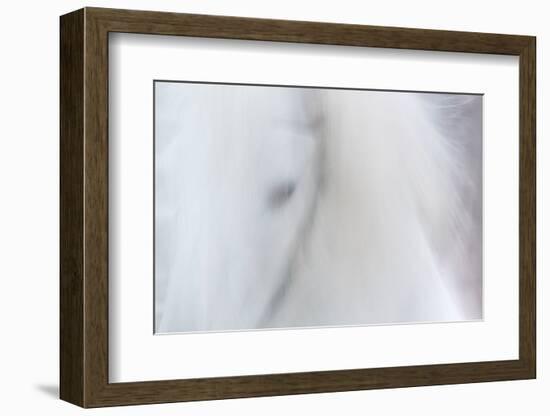 Equis III-Doug Chinnery-Framed Photographic Print