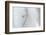 Equis III-Doug Chinnery-Framed Photographic Print