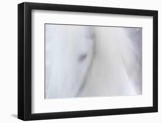 Equis III-Doug Chinnery-Framed Photographic Print