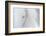 Equis III-Doug Chinnery-Framed Photographic Print