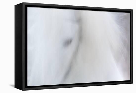 Equis III-Doug Chinnery-Framed Premier Image Canvas