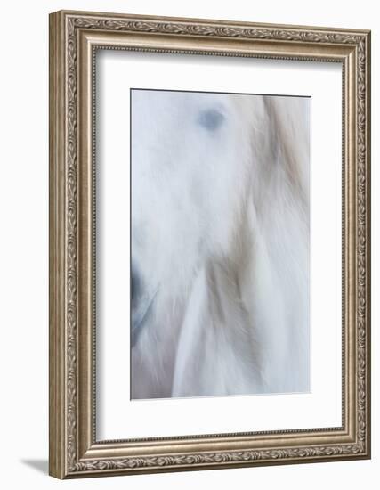 Equis IV-Doug Chinnery-Framed Photographic Print