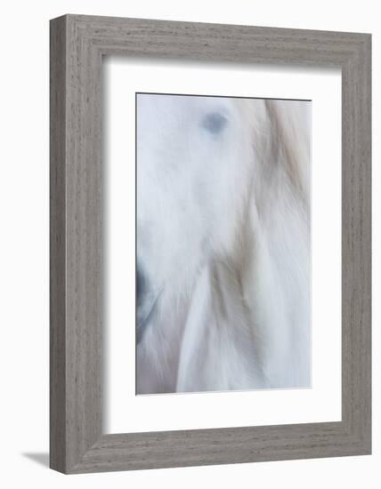 Equis IV-Doug Chinnery-Framed Photographic Print