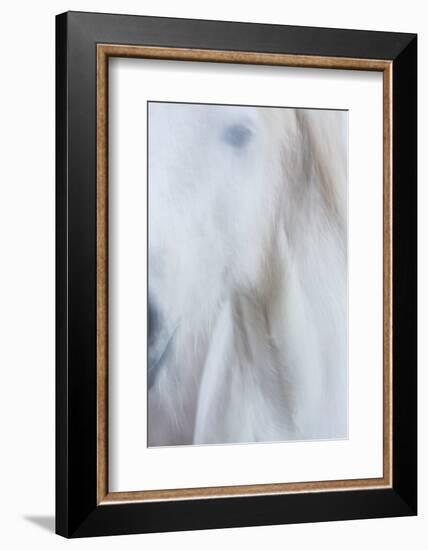 Equis IV-Doug Chinnery-Framed Photographic Print