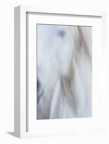 Equis IV-Doug Chinnery-Framed Photographic Print