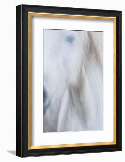 Equis IV-Doug Chinnery-Framed Photographic Print