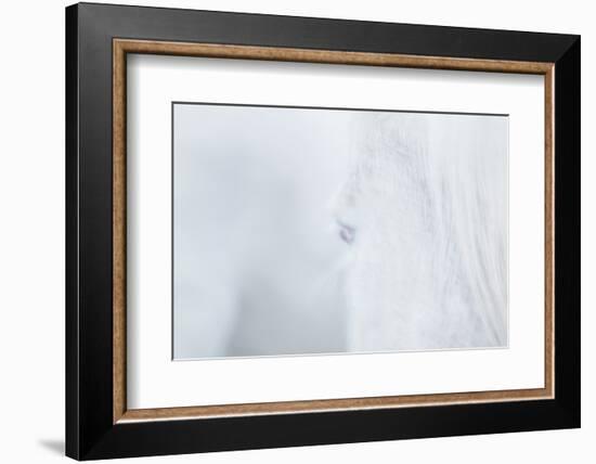 Equis V-Doug Chinnery-Framed Photographic Print