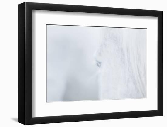 Equis V-Doug Chinnery-Framed Photographic Print