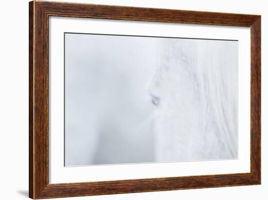 Equis V-Doug Chinnery-Framed Photographic Print