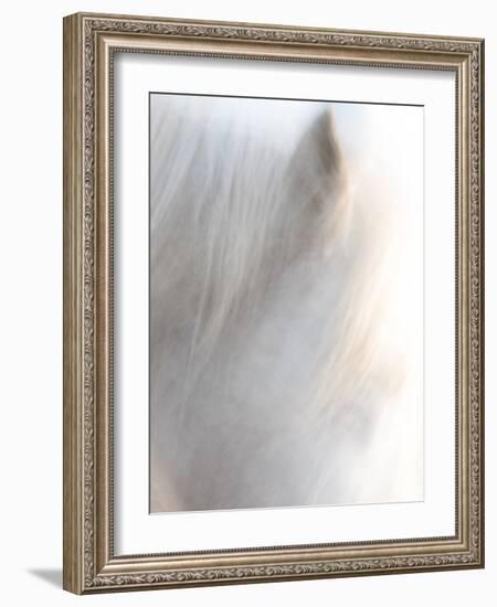 Equis VI-Doug Chinnery-Framed Photographic Print