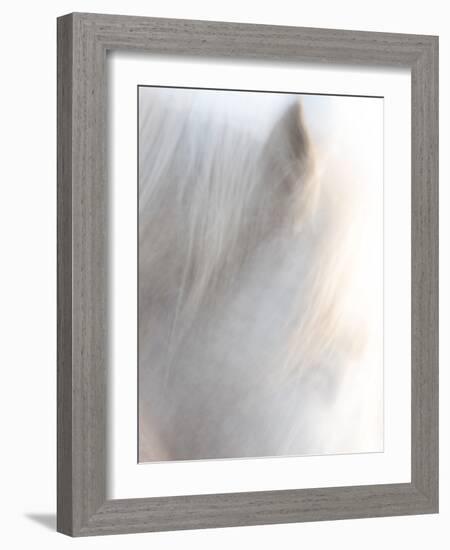 Equis VI-Doug Chinnery-Framed Photographic Print