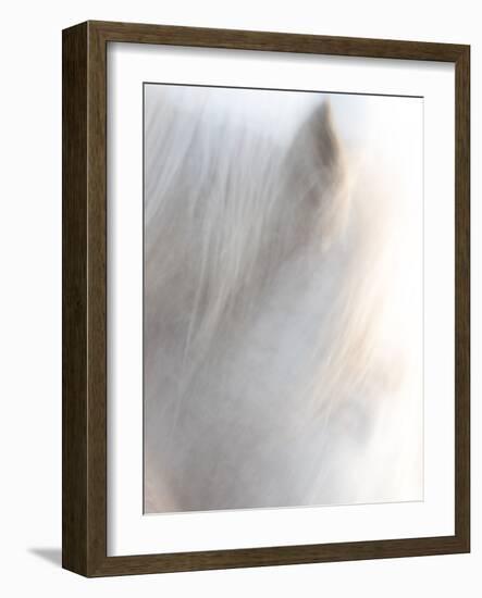 Equis VI-Doug Chinnery-Framed Photographic Print