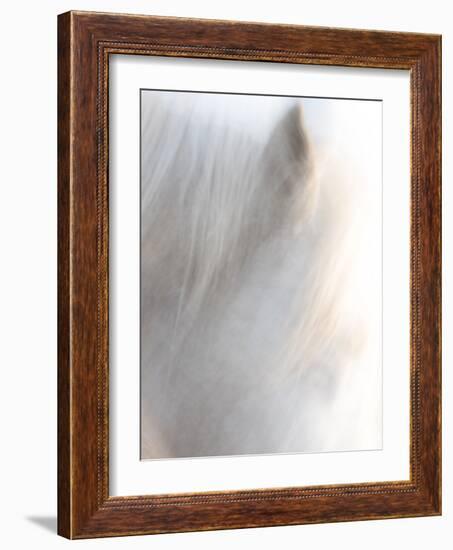 Equis VI-Doug Chinnery-Framed Photographic Print