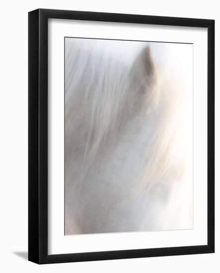 Equis VI-Doug Chinnery-Framed Photographic Print