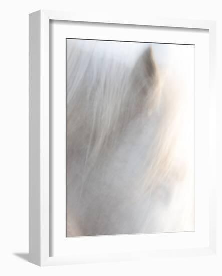 Equis VI-Doug Chinnery-Framed Photographic Print