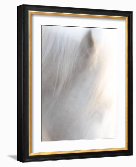 Equis VI-Doug Chinnery-Framed Photographic Print