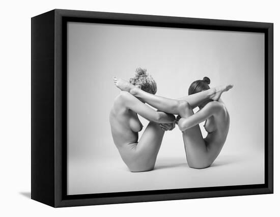 Equlibrium-Arkadiusz Branicki-Framed Premier Image Canvas