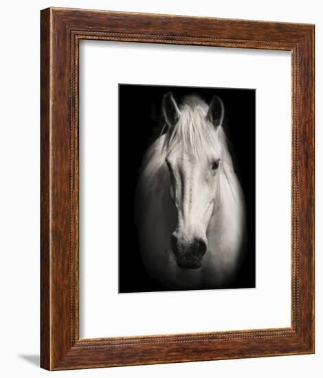 Equus 1-THE Studio-Framed Giclee Print