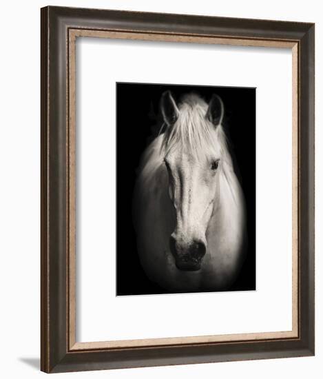 Equus 1-THE Studio-Framed Giclee Print