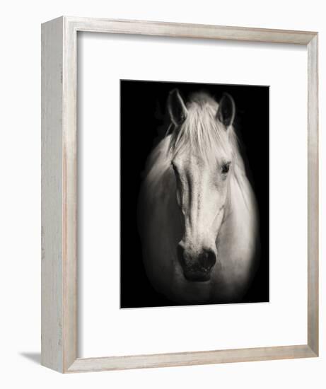 Equus 1-THE Studio-Framed Giclee Print