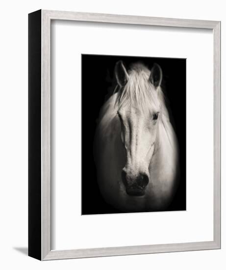 Equus 1-THE Studio-Framed Giclee Print