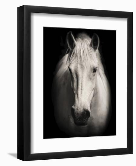 Equus 1-THE Studio-Framed Giclee Print