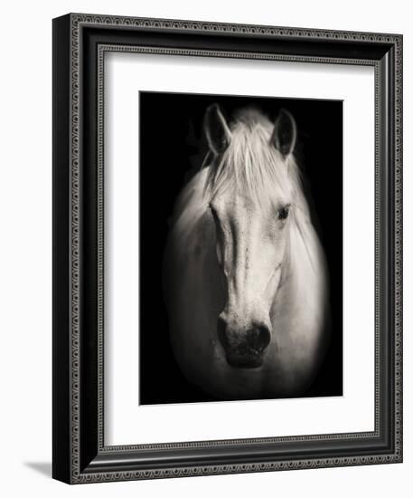 Equus 1-THE Studio-Framed Giclee Print