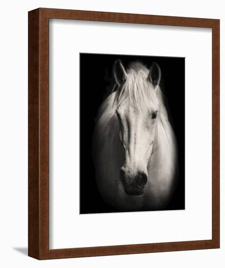 Equus 1-THE Studio-Framed Giclee Print