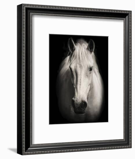 Equus 1-THE Studio-Framed Premium Giclee Print