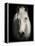 Equus 1-THE Studio-Framed Premier Image Canvas